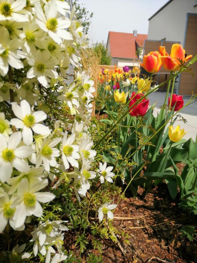 Inhouse - Wohnen Auf Zeit Aparthotel Ingolstadt Exteriör bild